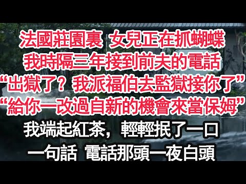 法國莊園裏 女兒正在抓蝴蝶我時隔三年接到前夫的電話“出獄了?我派福伯去監獄接你了”“給你一改過自新的機會來當保姆” 我端起紅茶,輕輕抿了一口一句話 電話那頭一夜白頭【顧亞男】【大女主】【婚姻自主】