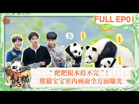 Keepers meets panda for the first time🍠Start the poop collection challenge📹|Panda‘s Family|Full EP01