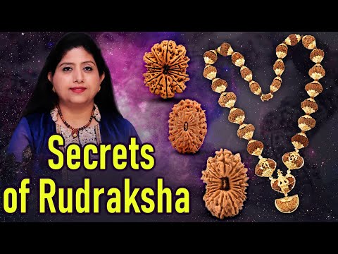 Secrets of Rudraksha | How to wear Rudraksha beads | How to Identify Rudraksha