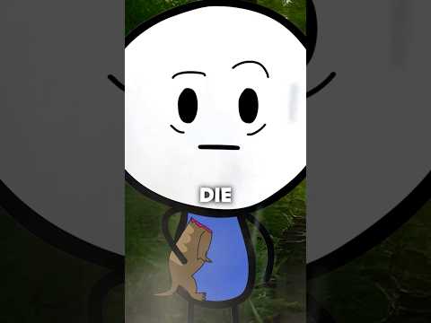 The Late Permian was crazy #education #funfacts #animation