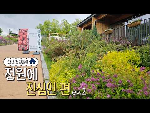 ๐ก๋์ ์ ์๋ค์ด โ ์ด์์ฐ๊ฐ๋๋์ผํฐ๐ฒ ์ ์์ ์ง์ฌ์ธํธ ep.2