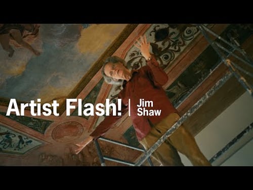 Jim Shaw meets the Polaroid 20x24 | Artist Flash!