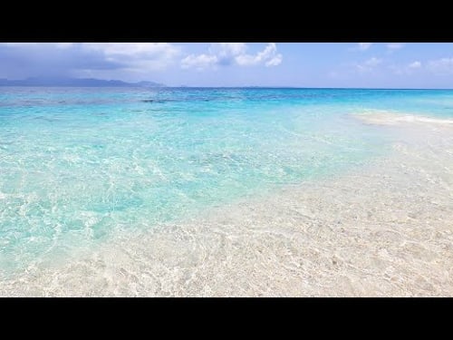 Blue Therapy: 3 Hours of Ocean Ambience on a Tropical Island (4K Video)
