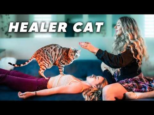 I Investigated This Mystical Cat's Healing Powers