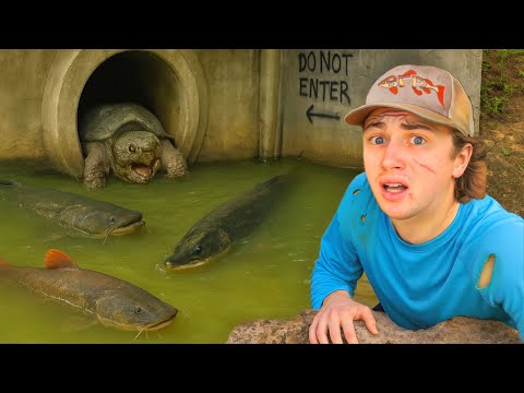 I Found Monster Fish in a Hidden Tunnel!