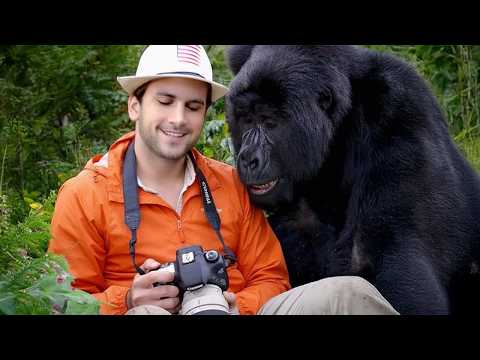 Silly Animals Approaching Photographers in the Most Ridiculous Ways 🤪 Funny Animal and Human