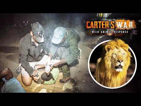 Caught on Camera: Ambushing Vicious Poachers in the Dead of Night | Carter's WAR