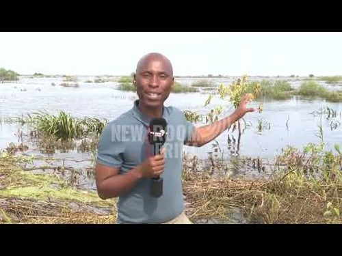 Mozambique Floods | Search for missing Ekurhuleni MMC and others continues