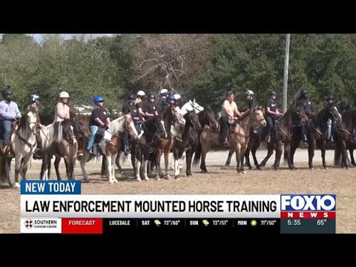 Helicopters and street sweepers: Mounted police units train for Mardi Gras in Mobile