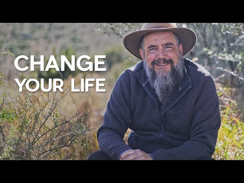 I Quit the 'Dream' & Found Peace: How to Let Go and Change Your Life
