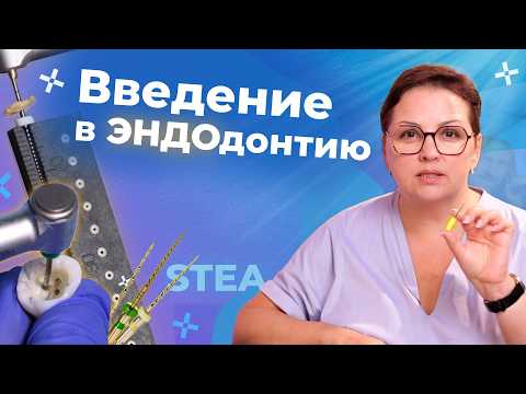 Эндодонтия для начинающих| Основы от А до Я