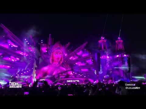 David Guetta world premiere new collab w/ Alesso & Lana del Rey 'Never Going Home Tonight'