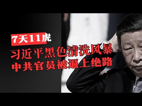 七天11虎!习近平黑色清洗风暴|中共官员被逼上绝路!Seven Days, Eleven Tigers! Xi Jinping’s Black Purge Storm