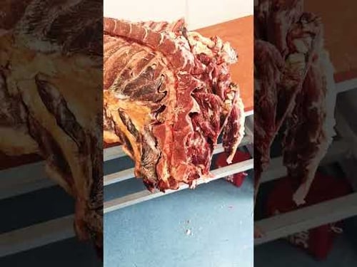 Attention Butchery apprentices! Fore quarter primal Butchery.