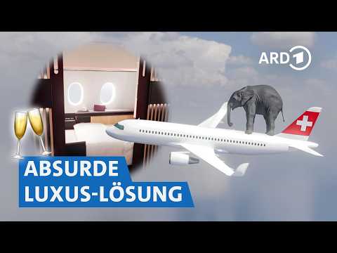 Blei im Flugzeug: Absurde Lösung für die First Class ✈️ | Markt WDR