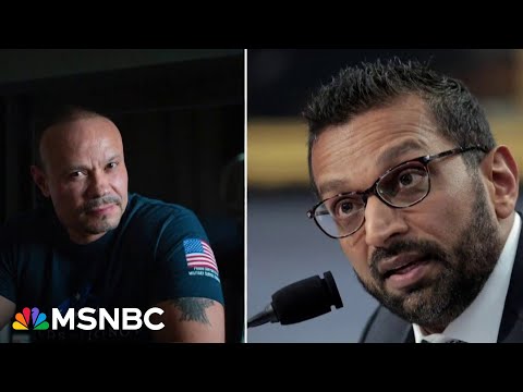 Nicolle Wallace: FBI in 'total meltdown mode' over Epstein files, giving agents polygraph tests