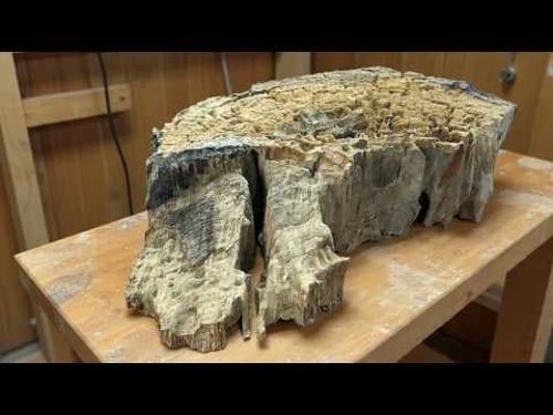 He Brought This Rare Log Home. You Won't Believe The Ending! 😱