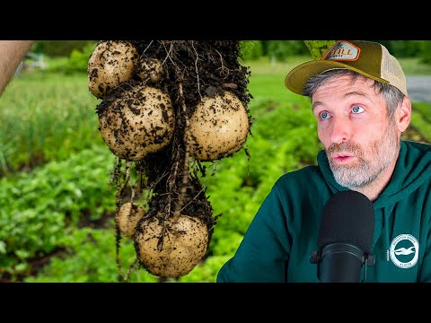 Easiest Vegetables to Grow + Veganic Compost