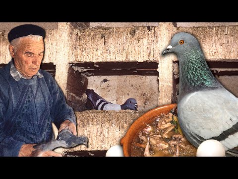 El PALOMAR rural. Carne de PALOMA para comer y uso de sus EXCREMENTOS como ABONO para el campo