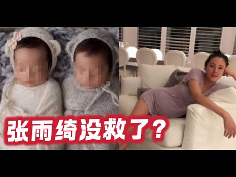 【突发】张雨绮彻底凉了?从手撕渣男到深陷代孕疑云|张雨绮代孕风波始末:辽宁春晚除名、葛晓倩爆料与袁巴元的秘密|内娱第一“大女主”的终局