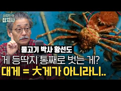 🦀🦐 밥 훔쳐가는 놈 게에 대해 알아보자 / 갑각류 특집: 대게, 새우, 꽃게