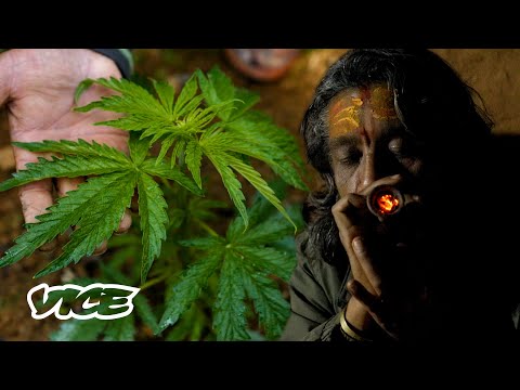 The Country Where Weed Is Legal One Day A Year | The War on Drugs