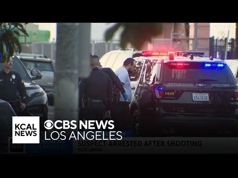 Alleged gunman arrested for shooting at Spartan College in Inglewood