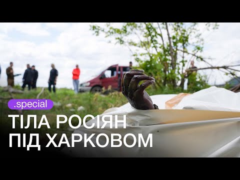 «Nobody needs them», - who and why gathers the corpses of the Russian military