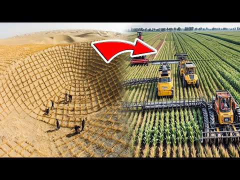 China’s Desert Transformation Stuns the World with Unseen Greening Tactics