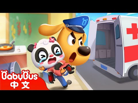 祖傳秘方被偷案 +更多 | 廚房很危險 | 車車 Cars | 動畫 | Kids Cartoon | 安全教育 | 安全警長啦咘啦哆 Sheriff Labrador | 寶寶巴士 BabyBus