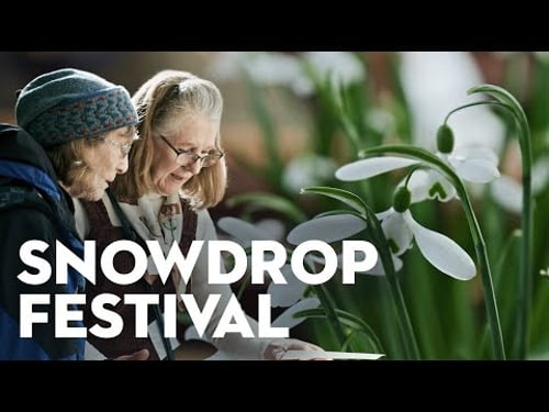 Inside the Shepton Mallet Snowdrop Festival | Country Living UK