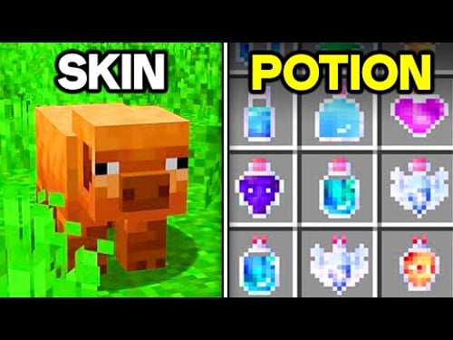 270 Minecraft Secrets You Didn't Know