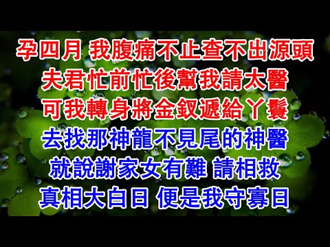 孕四月 我腹痛不止查不出源頭,夫君忙前忙後幫我請太醫,可我轉身將金釵遞給丫鬟,去找那神龍不見尾的神醫,就說謝家女有難 請相救,真相大白日 便是我守寡日