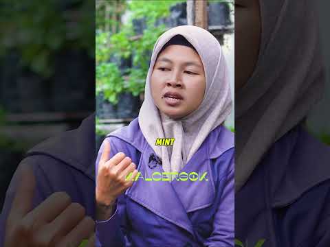 KEBUN IRUOCHA: UBAH LAHAN SEMPIT JADI DUIT!