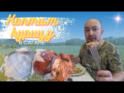 Коптим курочку. Садим огороды. Выпуск из деревни.