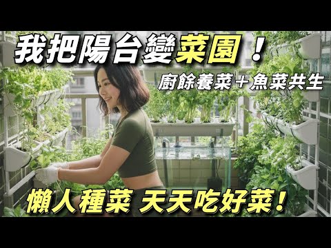 A driver in Taiwan invented an automated vegetable growing system. Could it help us survive the war?
