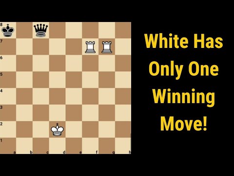 There Is Only One Move To Win This!