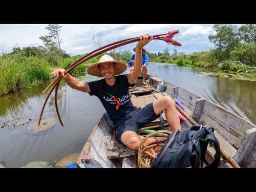 How To Eat LOTUS STEMS (Water Lily)! Harvesting + Thai Plant Based Food! | Phatthalung, Thailand