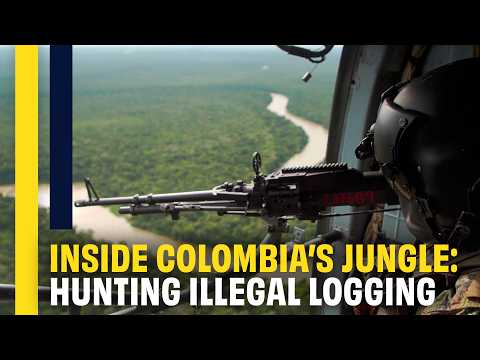 Amazon Manhunt: Inside the Fight Against Illegal Logging