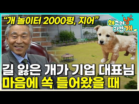 "They're so cute, I can't help but raise them." A life-changing transformation! When a company th...