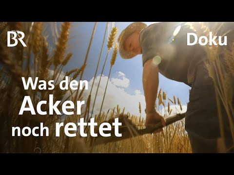 Rettung für den Ackerboden | Gut zu wissen | Doku | BR