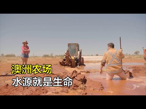 經營澳洲農場,地面開槽修建水路系統,月開支超10萬壓力山大。