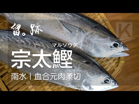 留。跡|EP69-雨水:宗太鰹 マルソウダ 血合元肉柔切