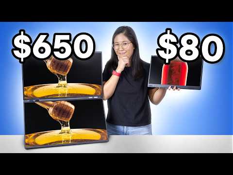 Cheap vs Expensive Portable Monitor.