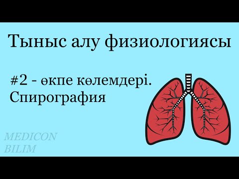 Өкпе көлемдері | Спирография | Физиология курсқа тіркелу👇