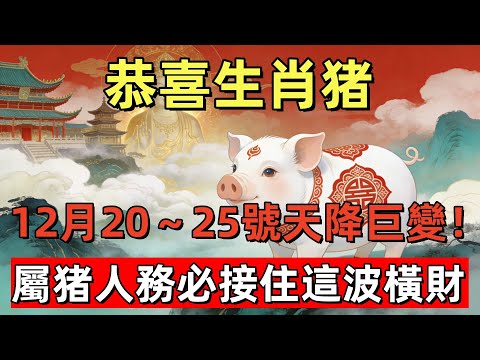 恭喜生肖猪!12月20~25號天降巨變!家中將出現“震天撼地”的大喜訊!屬猪人務必接住這波橫財,不點開你會後悔一整年!#生肖星象#屬相運勢#生肖#家運#手寫#生肖運勢的那些事#先知#風水變化#提升運勢