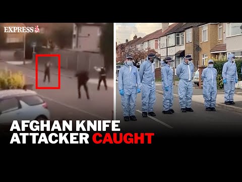 Moment police taser and arrest Afghan man after BRUTAL triple knife attack