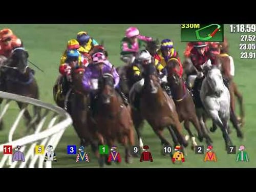 2026 02 11 跑馬地 全晚賽事 一鍵重溫