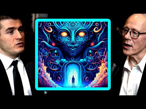 What a DMT trip is like | Graham Hancock and Lex Fridman