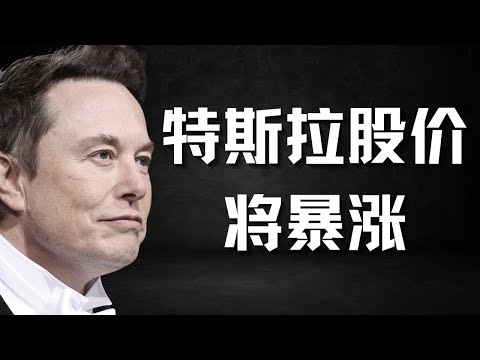 420股特斯拉,可能将让你成为百万富翁!